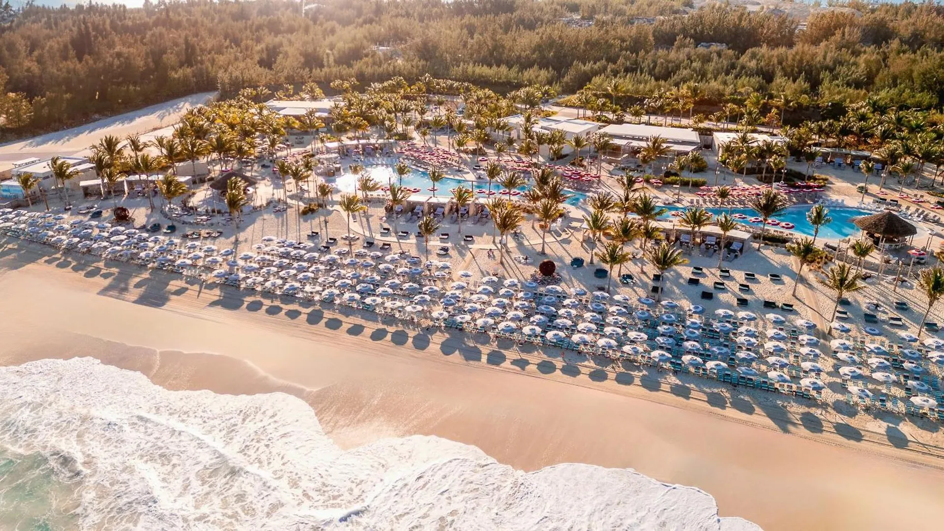 Resorts World Bimini contacts